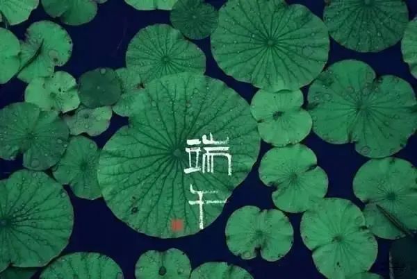 品味端午 傳承文明|滄州海固預(yù)祝您端午安康！
